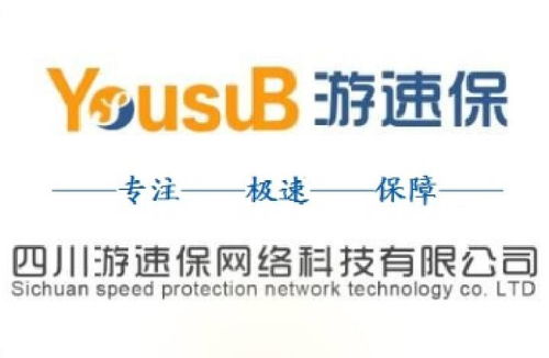 四川游速保網絡科技 深耕計算機科技，領航行業創新